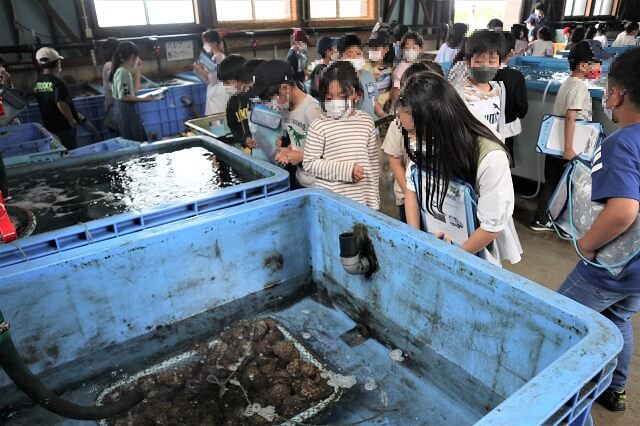 写真：3年校外学習（潟上市めぐり）の様子1