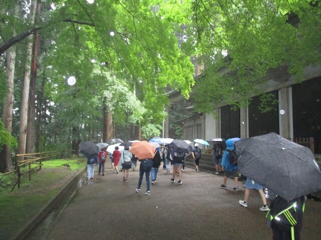 写真：6年修学旅行の様子5