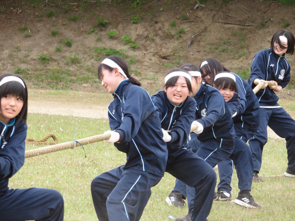 写真:学級対抗綱引き