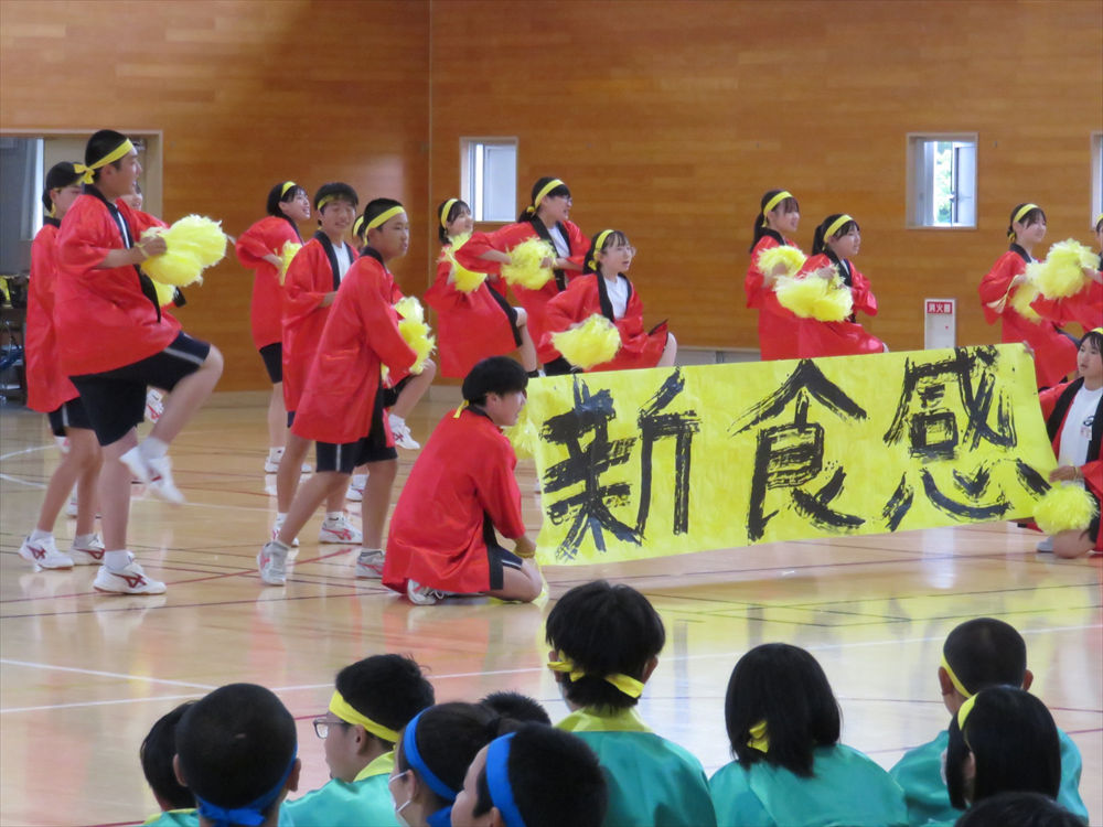 写真:天南ソーラン