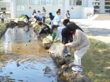 写真：学校のようす「3年総合的な学習の時間」のアイキャッチ