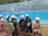 写真：学校のようす「1年校外学習(大森山動物園)」のアイキャッチ