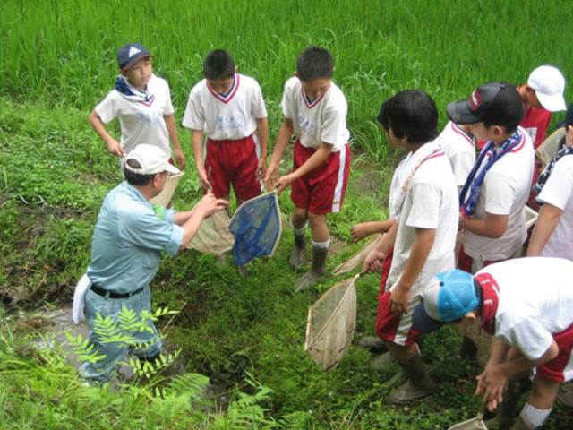 写真：7月に草取りを行う児童の様子2