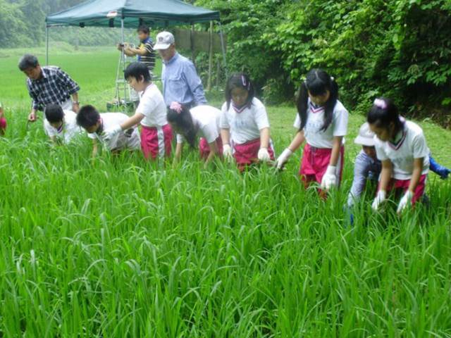 写真：7月に草取りを行う児童の様子5