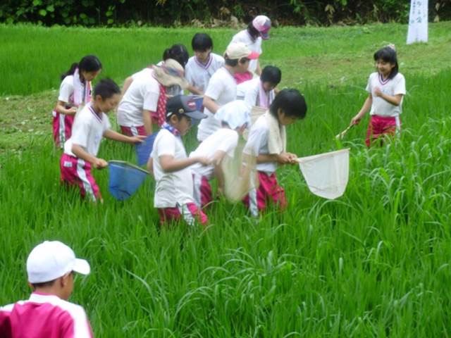写真：7月に草取りを行う児童の様子6