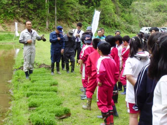 写真：5月の田植えを行う児童の様子1