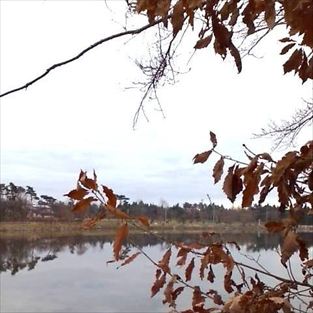 写真：天王南中学校周辺の秋の風景13