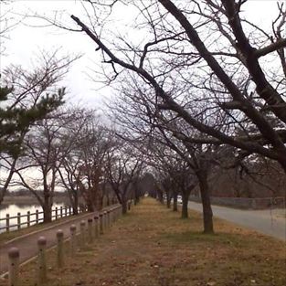 写真：天王南中学校周辺の秋の風景14