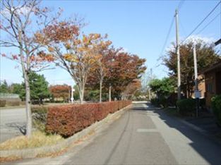 写真：天王南中学校周辺の秋の風景29