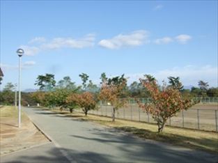 写真：天王南中学校周辺の秋の風景32