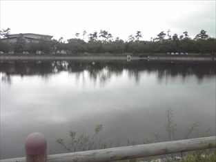 写真：天王南中学校周辺の春の風景2