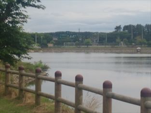 写真：天王南中学校周辺の夏の風景1