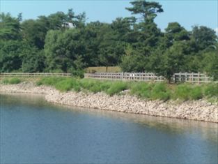 写真：天王南中学校周辺の夏の風景6