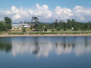 写真：天王南中学校周辺の夏の風景7