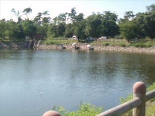 写真：天王南中学校周辺の夏の風景10