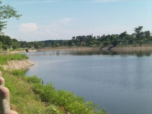 写真：天王南中学校周辺の夏の風景11