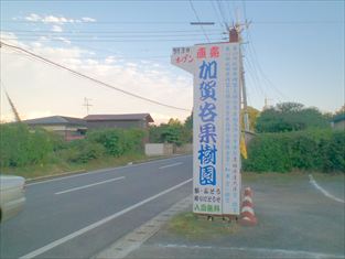 写真：天王南中学校周辺の夏の風景37