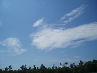 写真：天王南中学校周辺の夏の風景42