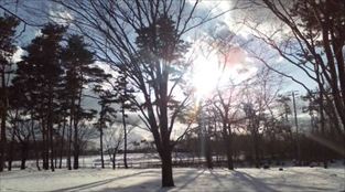 写真：天王南中学校周辺の冬の風景6