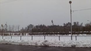 写真：天王南中学校周辺の冬の風景7