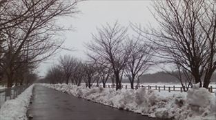 写真：天王南中学校周辺の冬の風景9