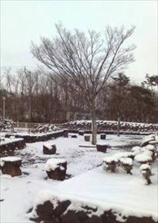 写真：天王南中学校周辺の冬の風景13