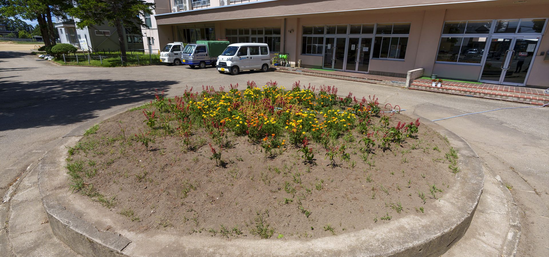 写真：天王小学校校舎前の花壇